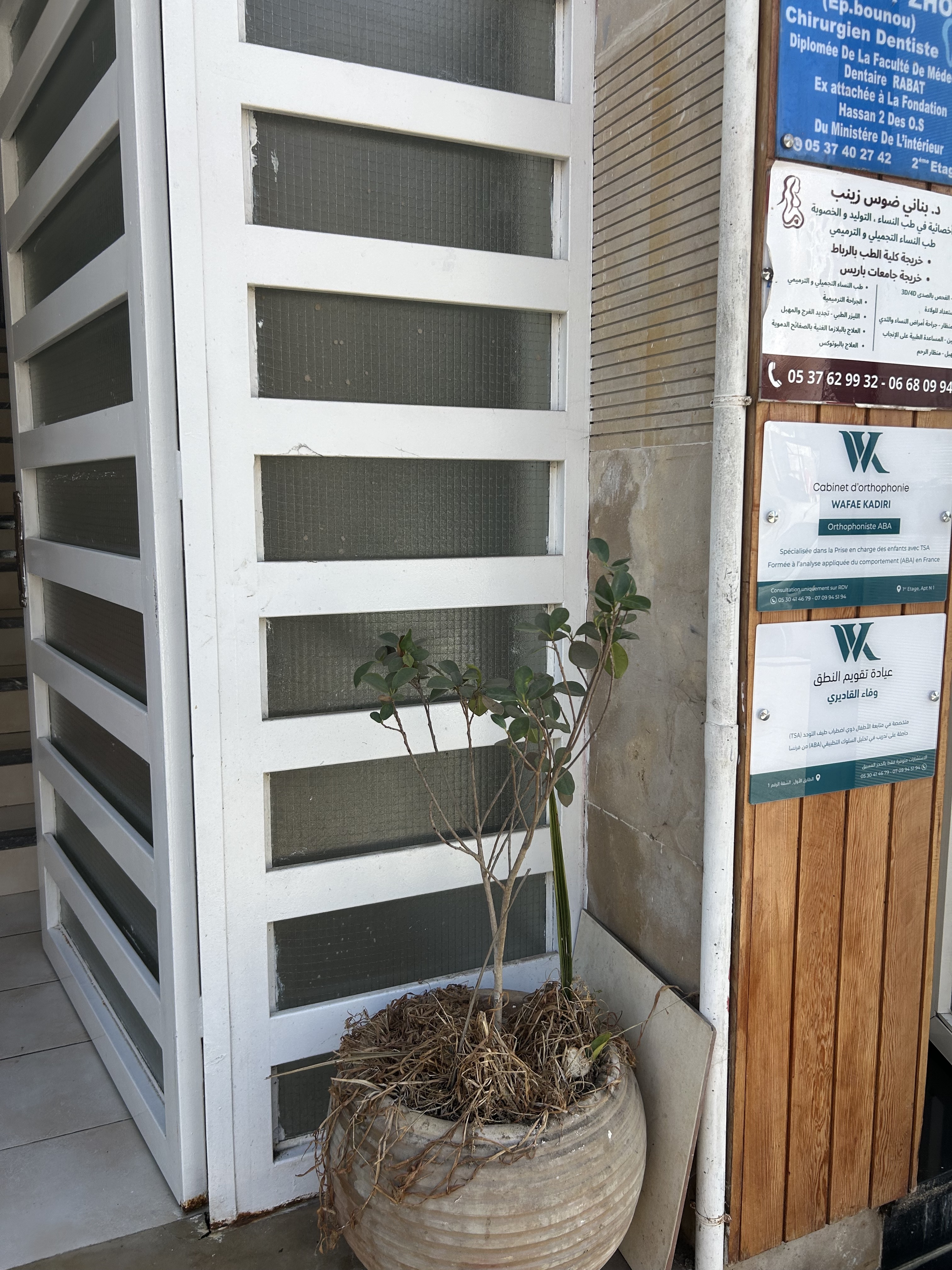 Cabinet d'orthophonie - Photo 1